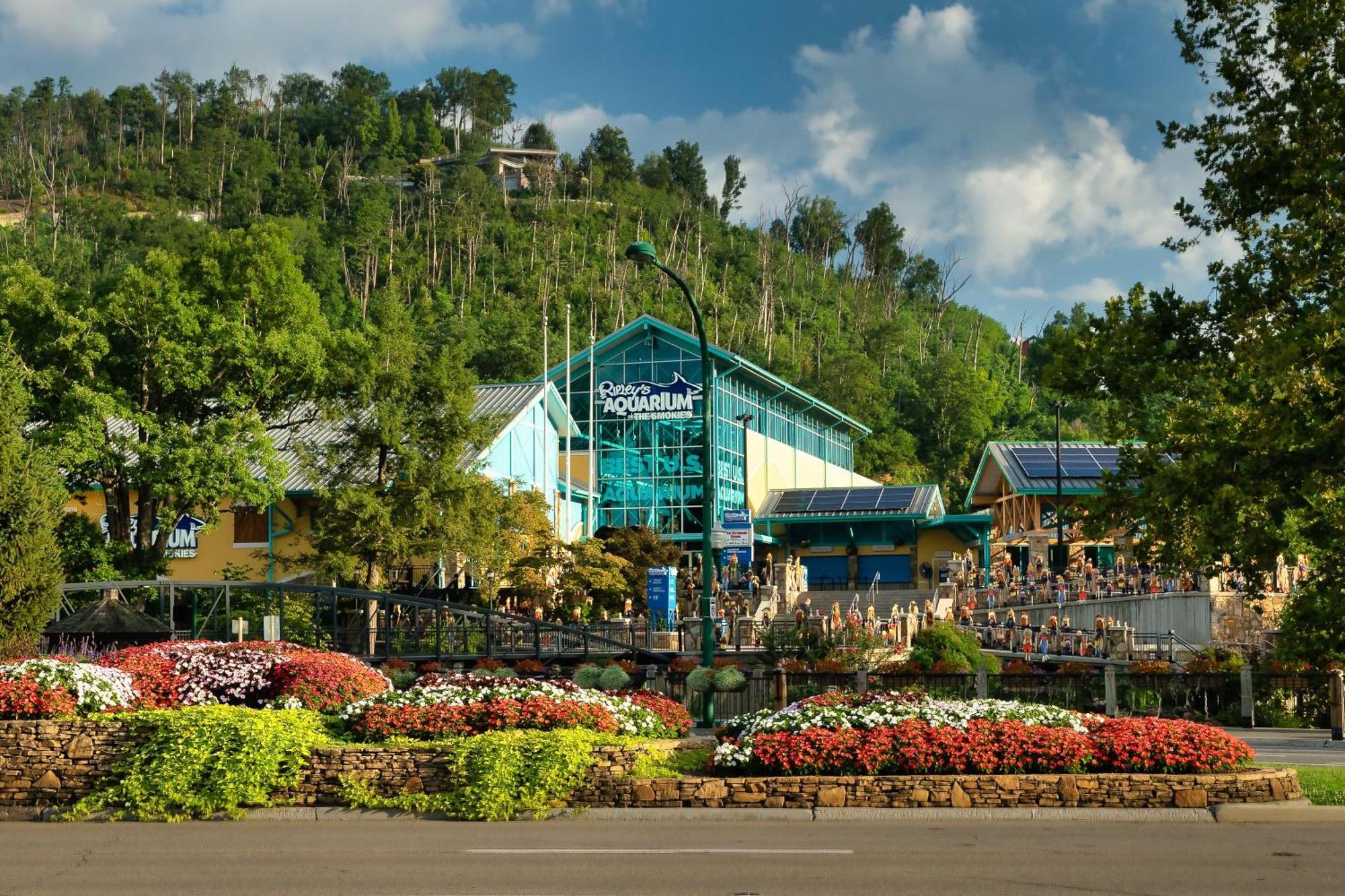 Walk To Anakeesta Romantic 1br W Fireplace * Gatlinburg